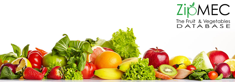 Make your fruit and vegetable company visible with ZIPMEC.EU
