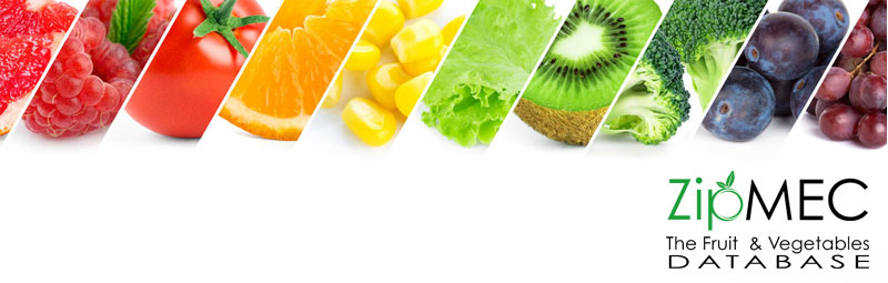 ZIPMEC.EU the portal dedicated to fruit and vegetable companies