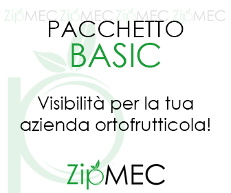 banner basic ZIPMEC ITA