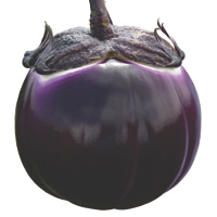 aubergines - histoire, production, commerce