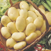 potatoes - history, production, trade
