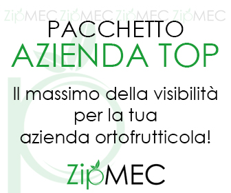 banner azienda top ZIPMEC ITA