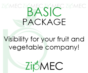 banner basic ZIPMEC EN