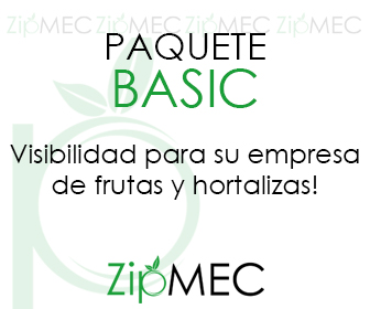 banner basic ZIPMEC ES