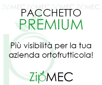 banner premium ZIPMEC ITA